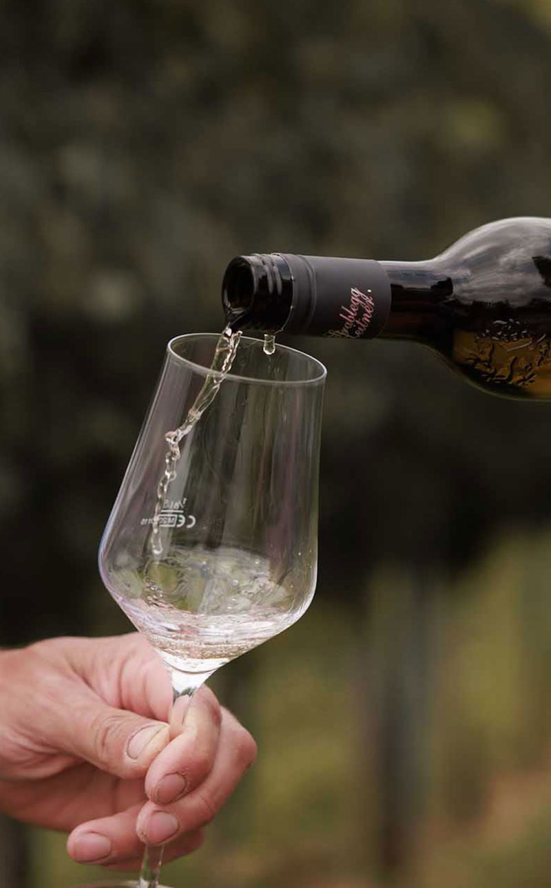 Buschenschank und Weinhof Strablegg-Leitner - steirischen Wein genießen