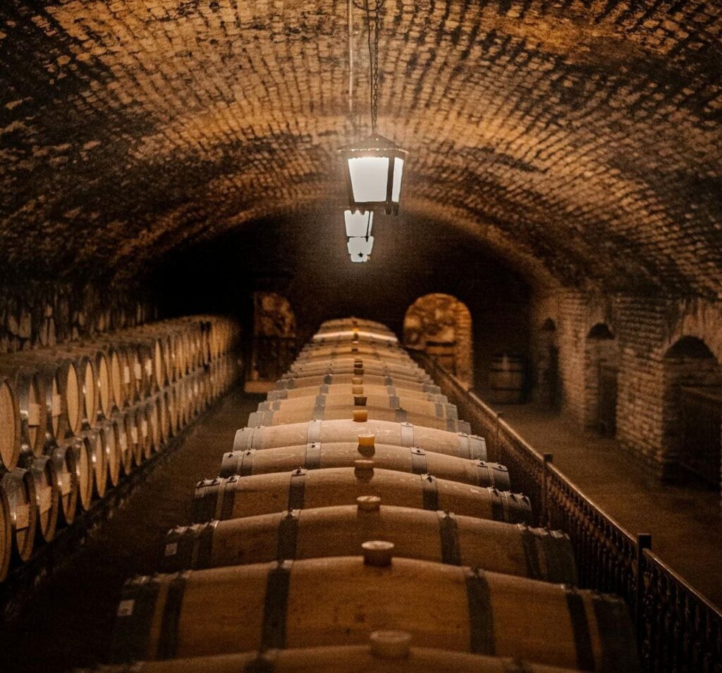 Sulfite im Wein bei der Maische und Lagerung