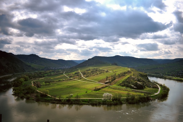 Feinherb Wein von der Mosel