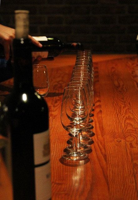 Degustation und Weinverkostung von verschiedenen Weinen